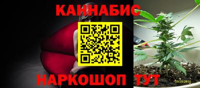 apvp Партизанск
