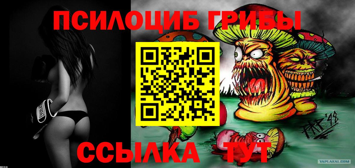 Галлюциногенные грибы прущие грибы  Псилоцибиновые грибы мухоморы  Вход с VPN  Сунжа 